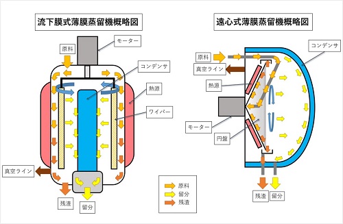 八代公式HPキャプチャ